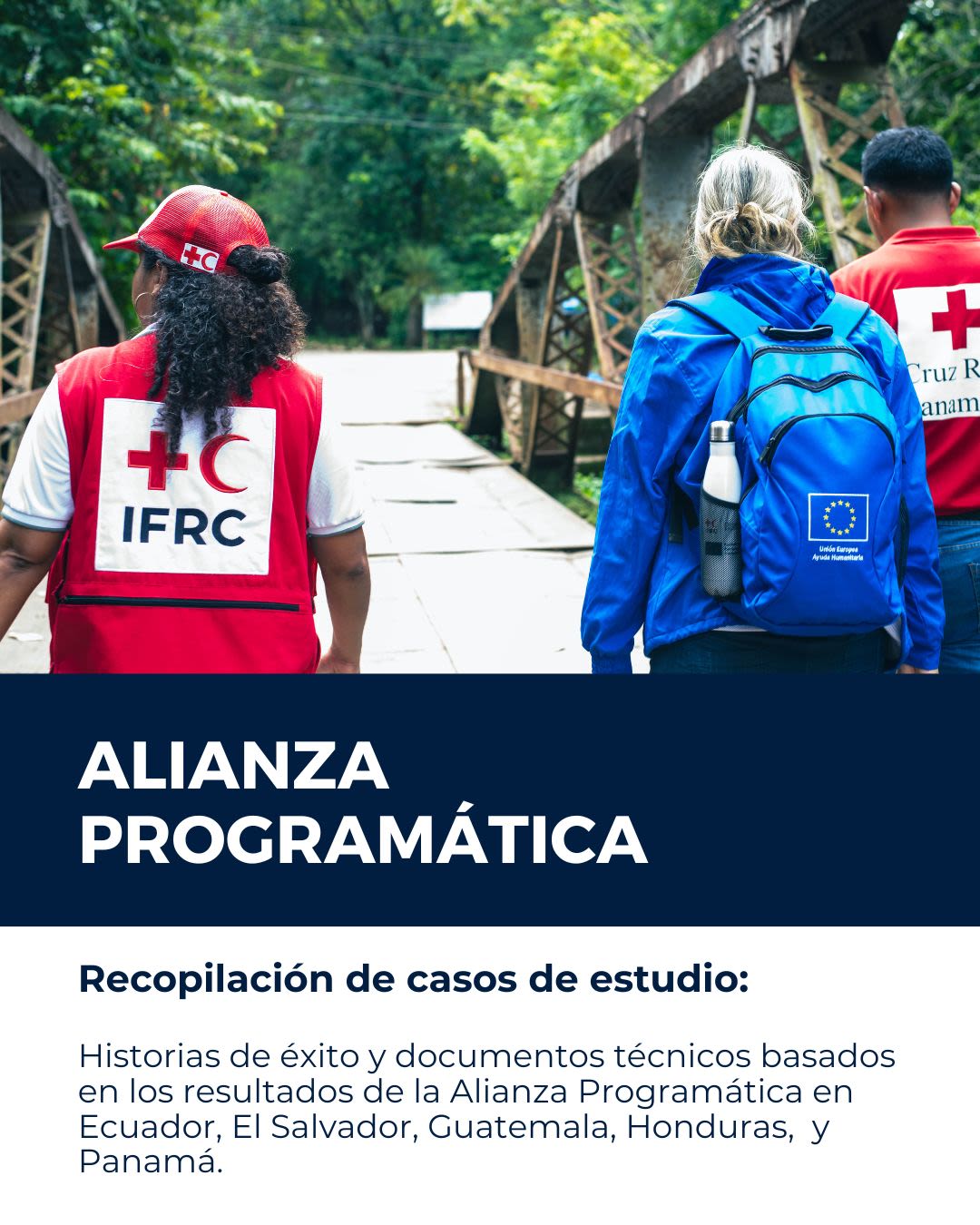 Portada de documento: recopilación de casos de estudio de la Alianza Programática