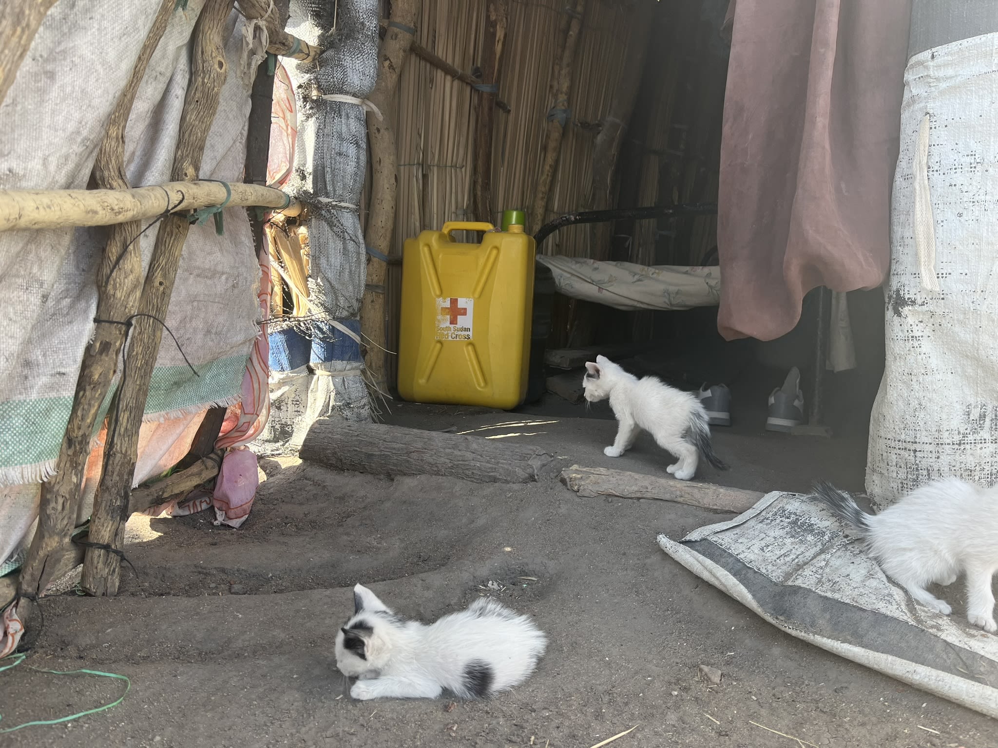Photo: John Dor/South Sudan Red Cross/IFRC