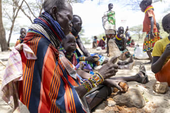 A caregiver prepares mkoma (doum palm fruit), a foraged food that sustains families in Lopur, Turkana, where drought has stripped livelihoods and deepened food insecurity.