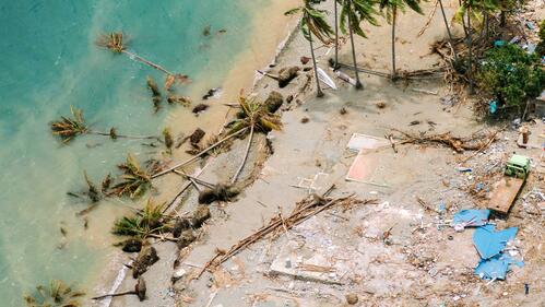 The coastline in Sulawesi, Indonesia is strewn with toppled palm trees and debris following a devastating tsunami in 2018