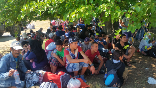 Migrants seek shelter from extreme heat under trees in Gevgelija, Former Yugoslav Republic of Macedonia in 2015