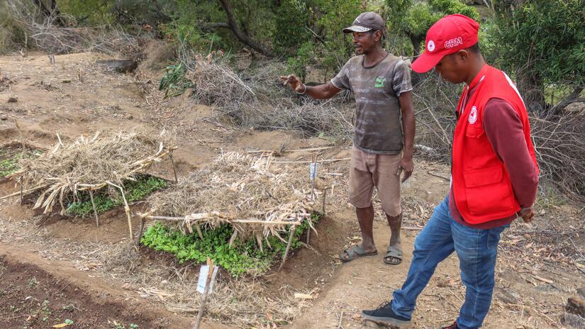 Daniel Aristide is a farmer from Ambatoabo and also one of the volunteers in charge of mobilizing the community around the vegetable gardens and tree nurseries activities implemented by the Malagasy Red Cross.