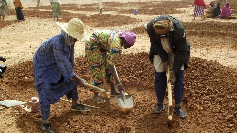 مزارعون في زيندر، النيجر، يقومون بإعادة تأهيل الأراضي المتدهورة حالتها كجزء من مشروع مع الصليب الأحمر في النيجر لتحسين الإنتاج الزراعي بعد مواسم الأمطار الفاشلة. 