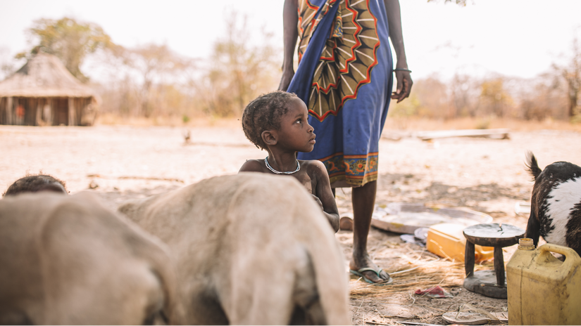 A mother and child from Huila province, Angola, rest in the shade with their remaining livestock. Angola is facing its worst recorded drought in 40 years, leading to poor harvests, depleted reserves, loss of livestock and rising food prices.