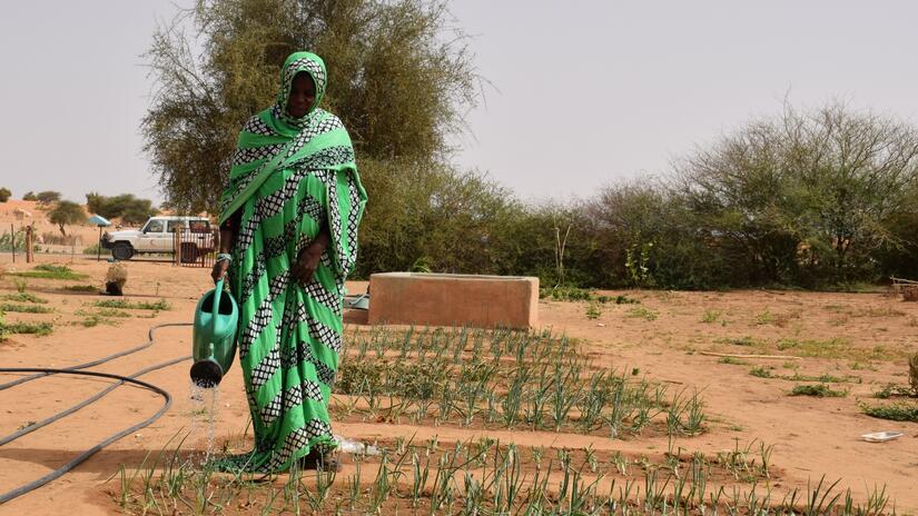 Une femme du sud de la Mauritanie arrose les légumes récemment plantés dans son jardin, qui l'aideront à nourrir sa famille.