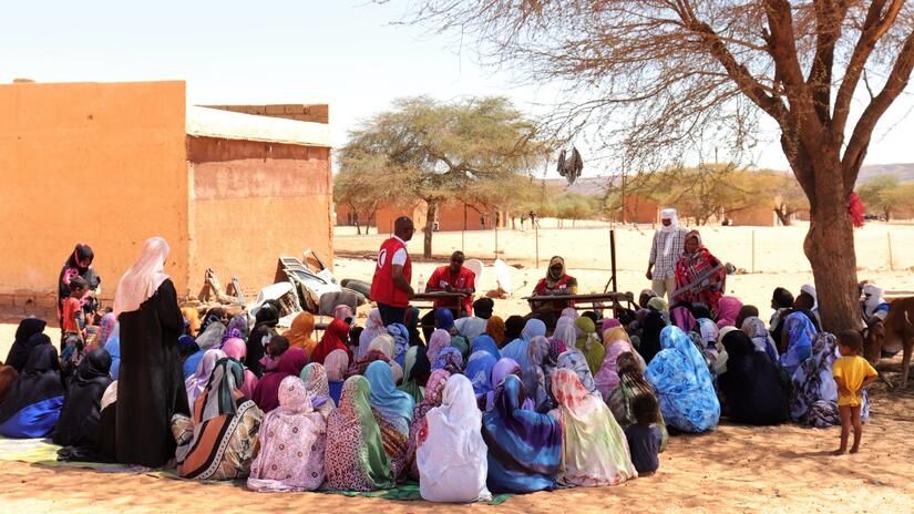 A group of women take part in a mothers' club meeting under the shade of a large tree in rural Mauritania.