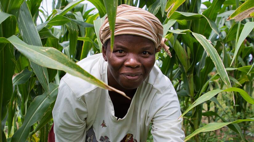 A woman tends to a communal garden in Sigwe, southern Eswatini.