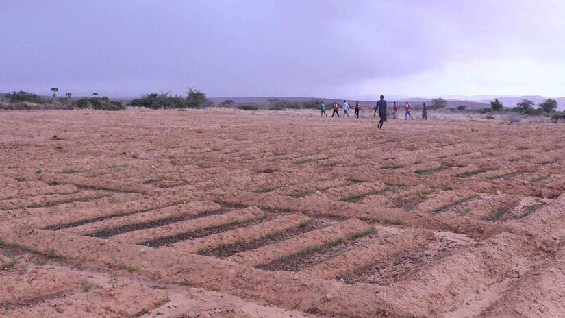 Staff from the IFRC and the Somali Red Crescent make a tour of the new 100-square-meter farms created after the installation of the new pumping system. 