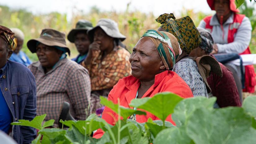 Un grupo de personas escucha una presentación del Ministerio de Agricultura sobre cómo hacer que los huertos comunitarios sean más productivos frente al cambio climático. 