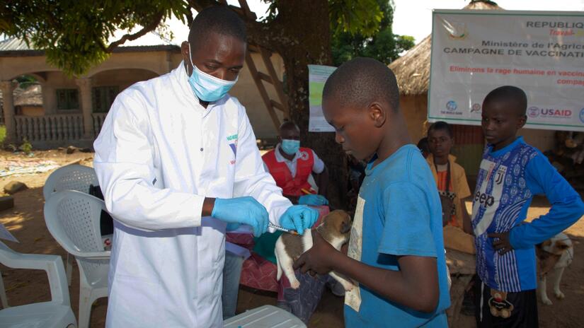 A boy takes his puppy to a rabies vaccination event in Faranah, Guinea in October 2023.