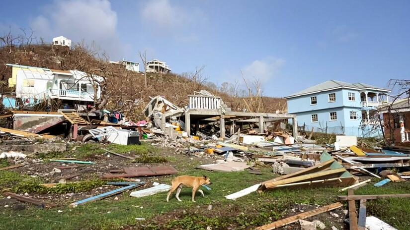 Un perro pasea entre las ruinas de antiguas casas, algunas de ellas completamente destruidas por los fuertes vientos y las lluvias torrenciales cuando el huracán Beryl azotó la isla de Granada.
