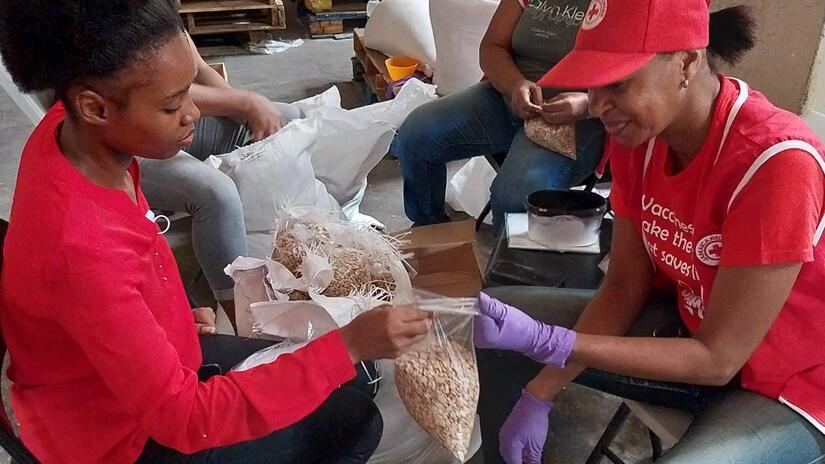 Personas voluntarias de la Cruz Roja de Jamaica preparan artículos de socorro que se trasladaron antes de la tormenta a los lugares donde se preveía que las necesidades serían mayores.