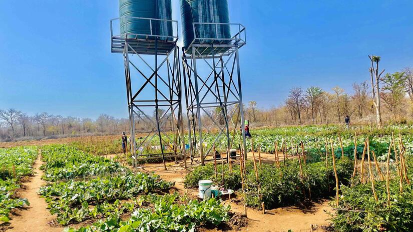 Powered by solar energy, the Gudomutovhoti Piped Water Scheme supports the one-hectare nutrition garden through two tanks where women collect water to irrigate their vegetable plots.