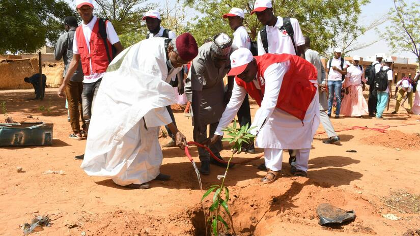 Ali Bandiaré (left), president of the Red Cross of Niger, plants a tree as part of climate-change adaptation measures the National Society is conducting around the country.