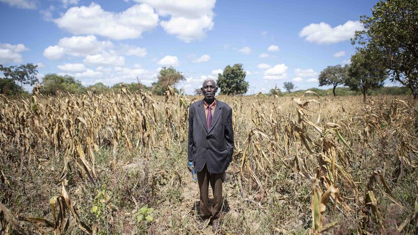 Farmer Charles Chamileche stands in the midst of a corn field that has been devastated by prolonged drought. Chamileche has lost everything due to the drought.