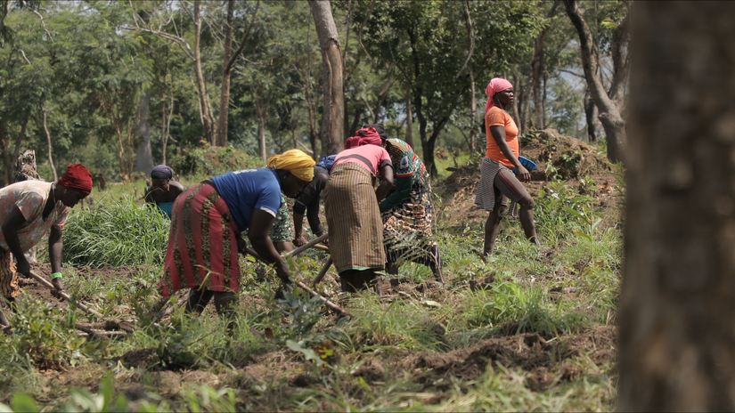 Women from Kabayaba village, Guinea took up farming in the surrounding fields, growing crops in order to raise money to help build the new health post.