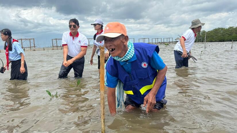 Standing waist-deep in coastal water, 76-year-old Cambodian Red Cross volunteer Norm Teat bends down to plant a mangrove tree.