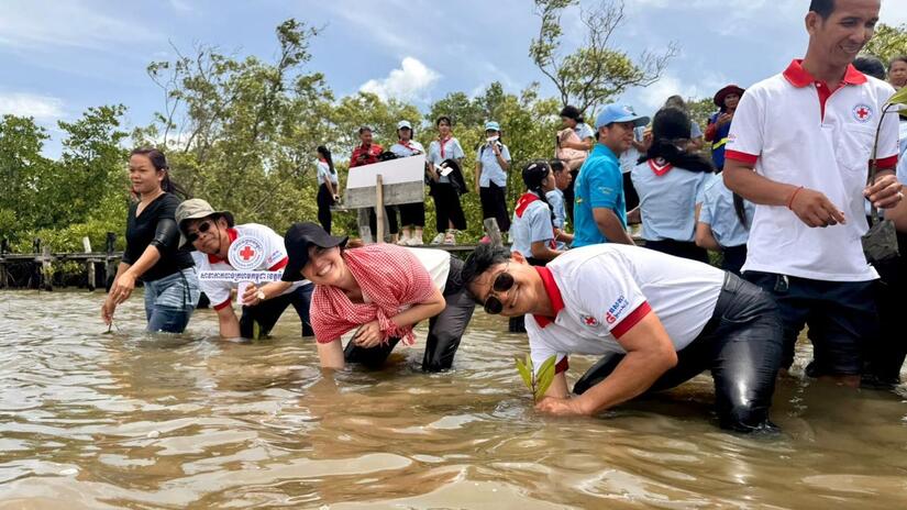 Along with members of a local community in Kampot Province, volunteers and other representatives from the Cambodian Red Cross and the IFRC stand knee-deep in coastal waters as they reach down and plant mangrove trees into the muddy sea floor.