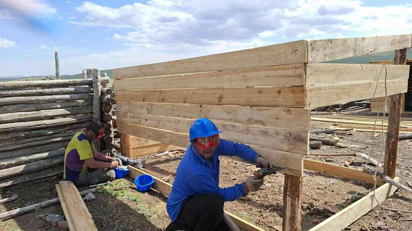 Livestock herders in Tuv Province, Mongolia, build new shelters to protect their  animals from extreme cold.