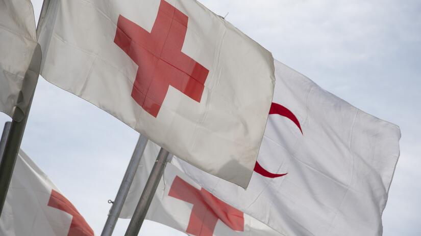 Red Cross Red Crescent Over 160 States gather to address world's most pressing issues | IFRC