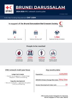Brunei Darussalam_INP_2024.pdf