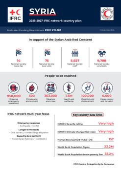 Syria_INP_2025.pdf
