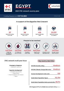Egypt_INP_2025.pdf