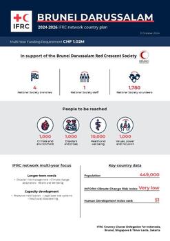 Brunei Darussalam_INP_2024.pdf