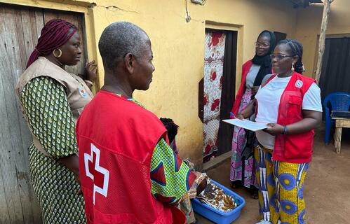 Togolese Red Cross responding to needs of people displaced by violence.