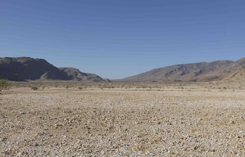 Photo showing extremely barren arid land in northern Namibia.