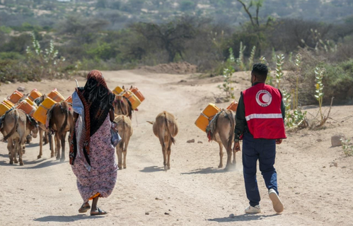 A Somali Red Crescent volunteer walks with a herder impacted by recent droughts.