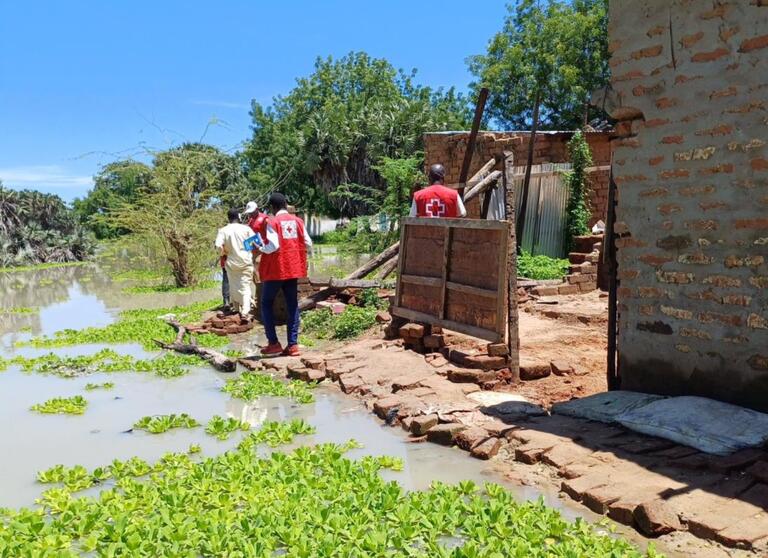 Volunteers from the Red Cross of Chad inspect damage caused by recent heavy floods