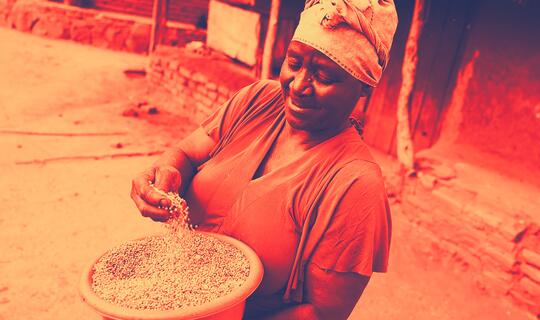 Tambudzai Rukatu, a lead farmer and widow, proudly displays her sorghum harvest produced from drought-tolerant seed support.
