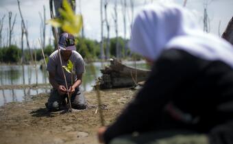 Following the 2004 Indian Ocean Tsunami, community-based action teams along the western coast of Aceh province, Indonesia plant thousands of mangrove trees as a protective barrier against the sea