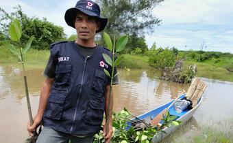 An Indonesian Red Cross volunteer loads his canoe full of mangrove saplings in preparation for planting in Aceh Jaya, Indonesia.