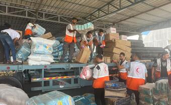 The Rafah border crossing from Egypt into Gaza was briefly opened on 21 October to allow 20 trucks with medicine and food to enter Gaza. The life-saving supplies were provided by the Egyptian Red Crescent and the United Nations and received by the Palestine Red Crescent Society.