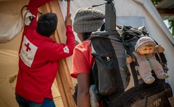 PPP supporting IFRC migration response