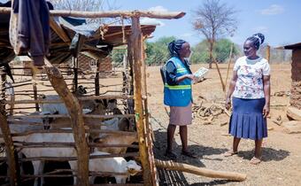 A Kenya Red Cross volunteer with the Community Epidemic and Pandemic Preparedness Programme (CP3) speaks to a woman in Tharaka Nithi about different disease risks and how to stay healthy and safe.