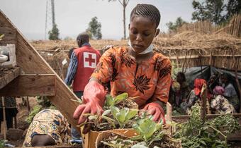 Global Climate Resilience Fund brochure feature image