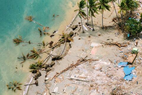 The coastline in Sulawesi, Indonesia is strewn with toppled palm trees and debris following a devastating tsunami in 2018