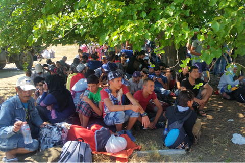 مهاجرون يبحثون عن مأوى من الحرارة الشديدة تحت الأشجار في جيفجيليا في جمهورية مقدونيا اليوغوسلافية السابقة في عام 2015