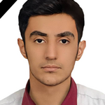 Amir Hassan Jamshidpour