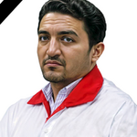 Seyyed Ali Akbar Mir Mohammadi