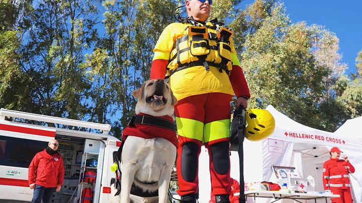 Hera, the only dog in Greece trained for specialized water rescue operations, works alongside Hellenic Red Cross lifeguard volunteers to ensure safety in aquatic environments. (Photo taken in May 2026)